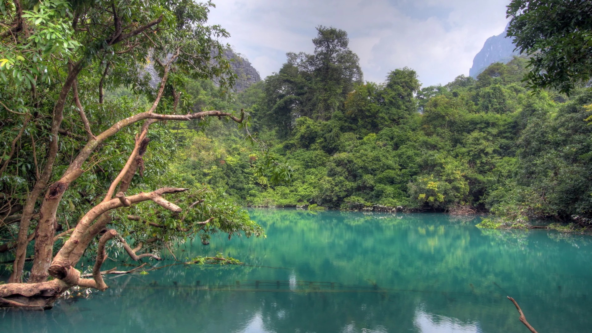 Peut être une image de lac et arbre